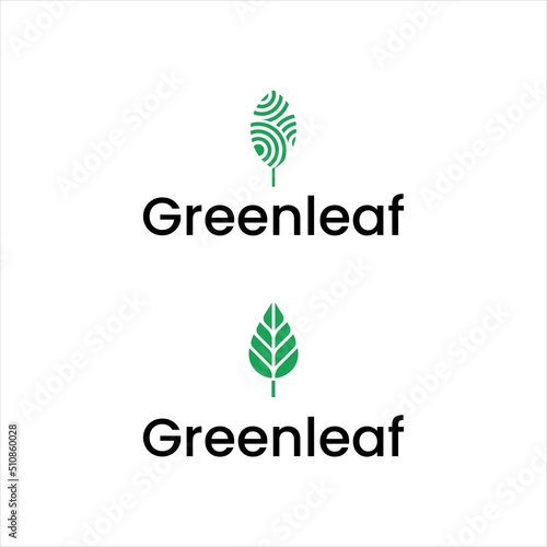 abstract nature grow green leaf  logo design