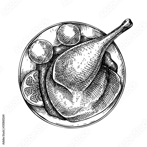 Roast duck with dumplings vintage drawing. German food sketch. Oktoberfest menu design. Hand-drawn food illustration for Octoberfest. Traditional German festival cuisine meal. Grilled duck sketch