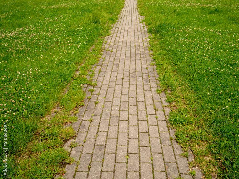 Paving slabs in the park. Paving slabs in the park.