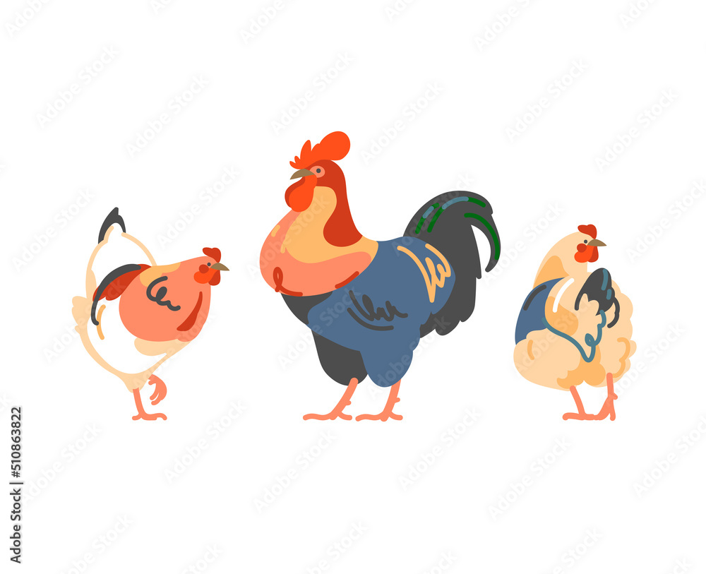 Fototapeta premium Hens and rooster. Multicolor flat chickens. Vector illustration