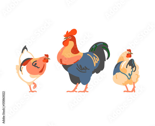 Hens and rooster. Multicolor flat chickens. Vector illustration