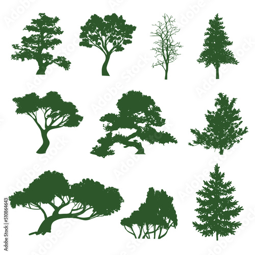 Set of leaves of different tropical and European trees and plants.