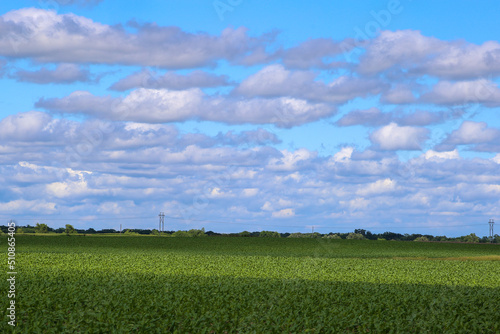 Farmland Landscape