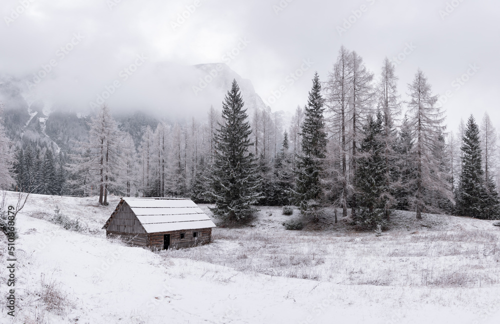 Winter meets autumn on a snowy and cloudy day Winter meets autumn on a snowy and cloudy day