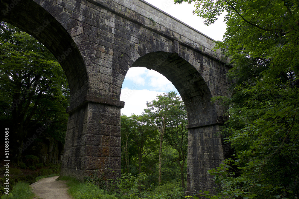 Fototapeta premium Treffry Viaduct 19th century industrial remains and World Heritage Site The Luxulyan Valley or Glynn Gwernan meaning alder tree valley River Par Cornwall England UK 