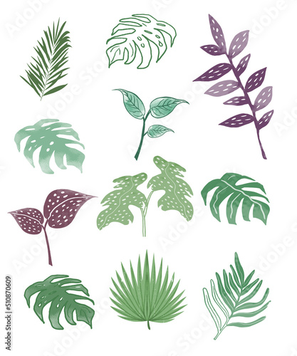 tropical leafs