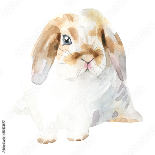 Watercolor farm animal bunny. Single domestic pet isolated cute spring flora animal. Nursery woodland illustration.Farmhouse animsl for baby shower invitation, nursery decor, print, greeting card photo