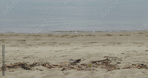 Sandy beach with wood debris and a water background.
