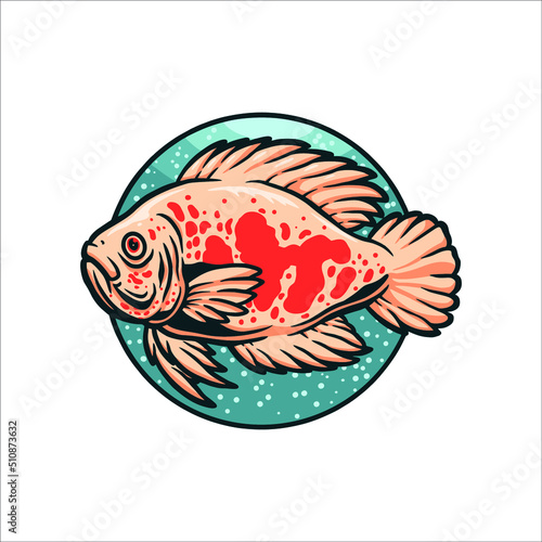 oscar fish illustration vector design