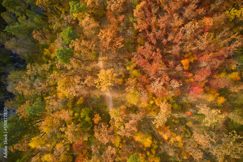 Aerial drone view over autumn forest. Colorful trees in the wood. Autumn forest aerial drone view. Autumn background, aerial drone view of beautiful forest landscape with autumn trees