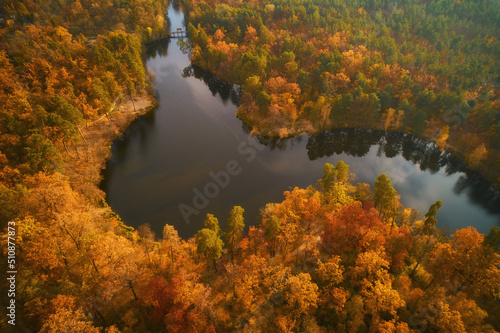 Drone view of colorful top of the forest and a lake at Autumn