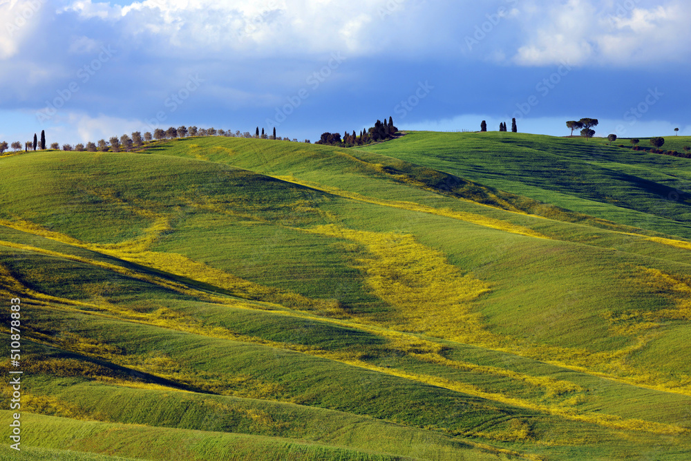 Typical summer landscape in Tuscany, Italy, Europe