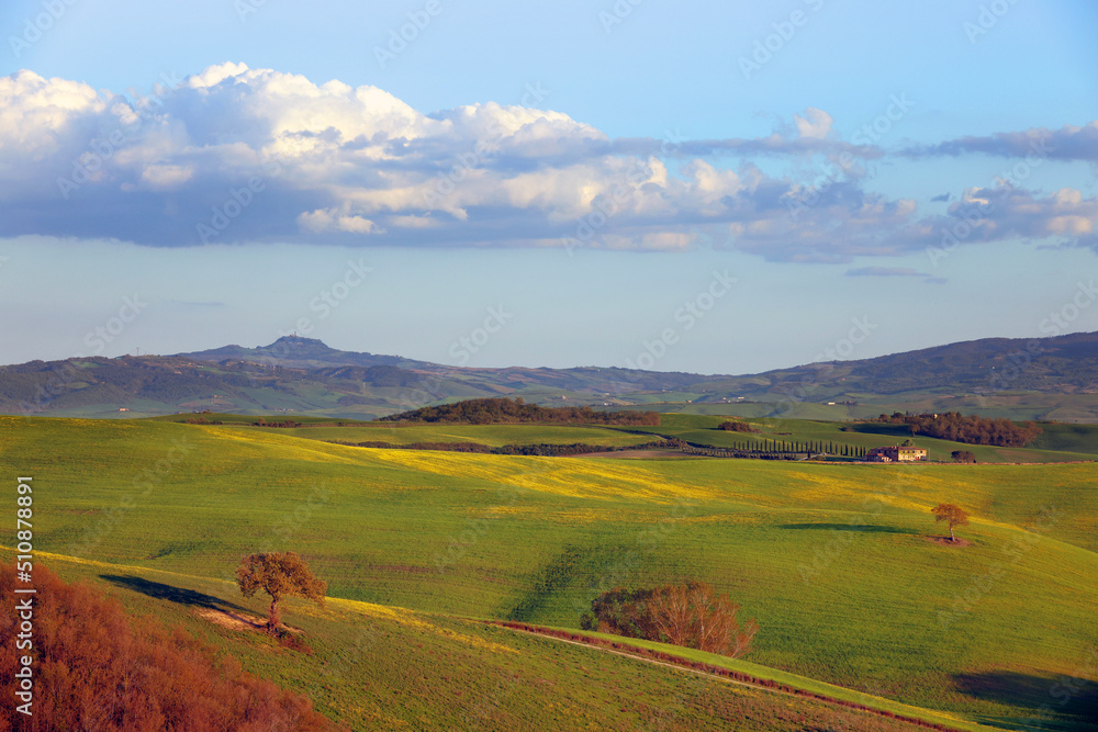 Typical summer landscape in Tuscany, Italy, Europe
