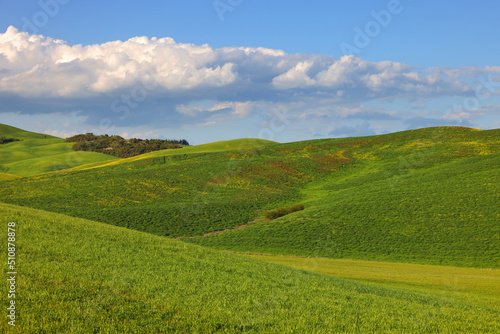 Summer landscape of Tuscany landscape  Italy  Europe