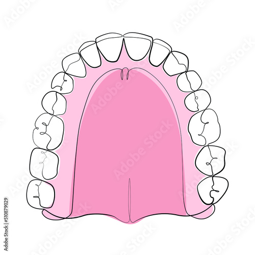 Jaw with teeth one line drawing on white isolated background