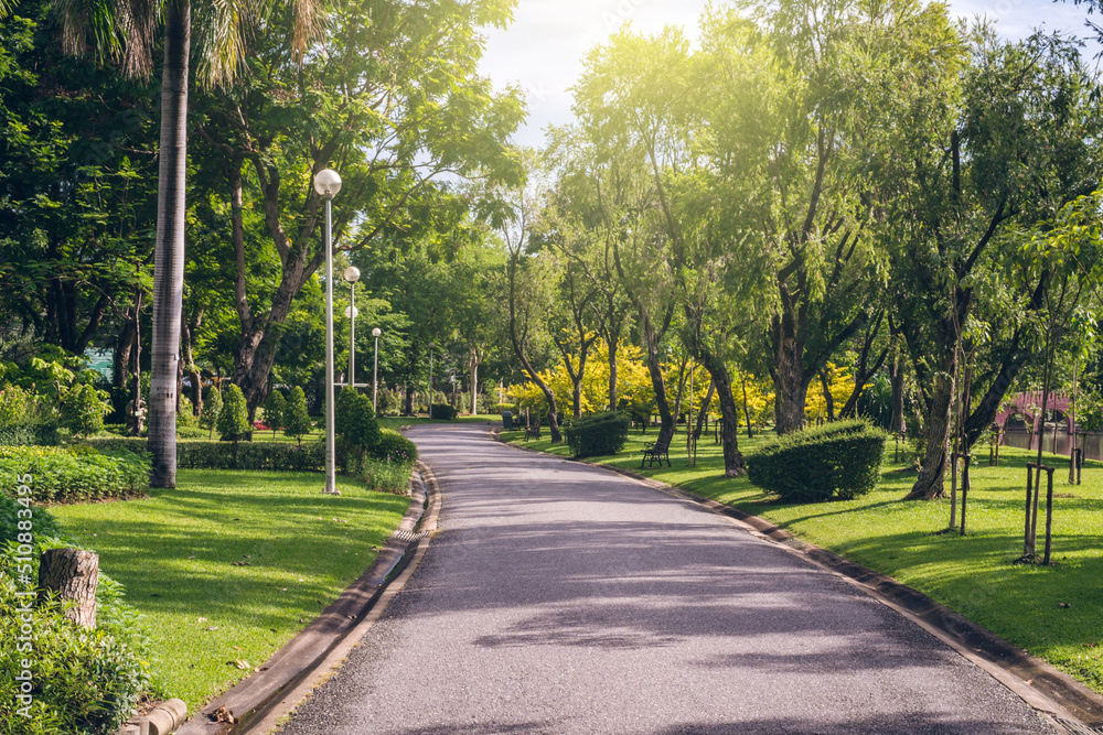 footpath in the park footpath in the park