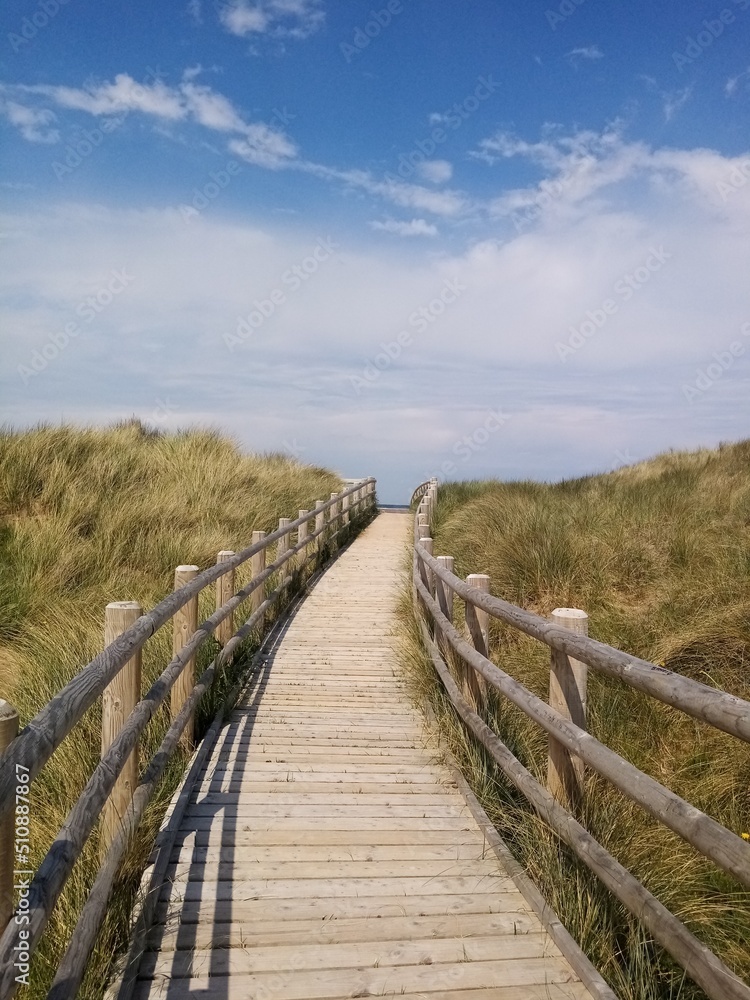 Path to the Sea