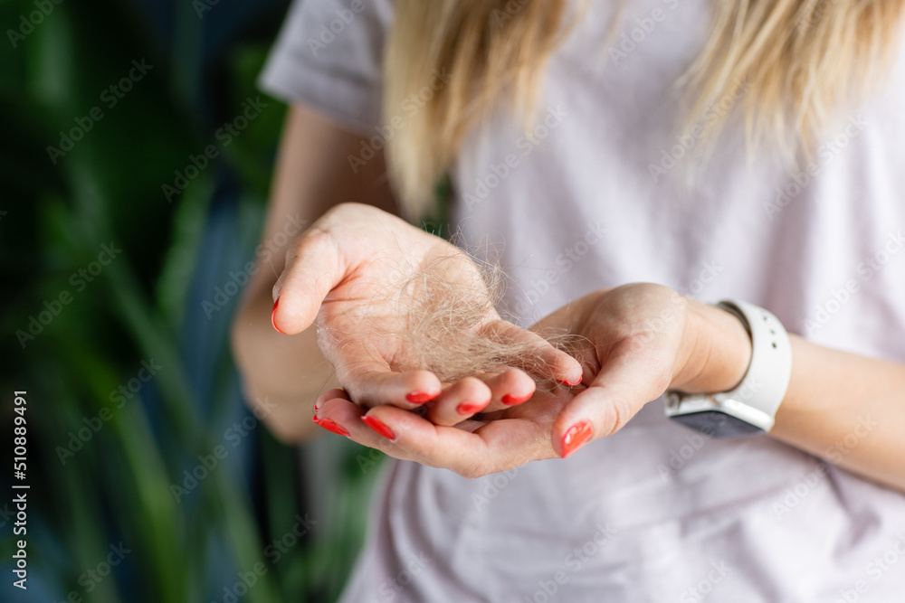 Portrait of stressed young blonde balding woman looking at unhealthy hair, checking dandruff, upset by hair loss problem, alopecia at home. postpartum period, menstrual or endocrine disorder, hormonal Portrait of stressed young blonde balding woman looking at unhealthy hair, checking dandruff, upset by hair loss problem, alopecia at home. postpartum period, menstrual or endocrine disorder, hormonal