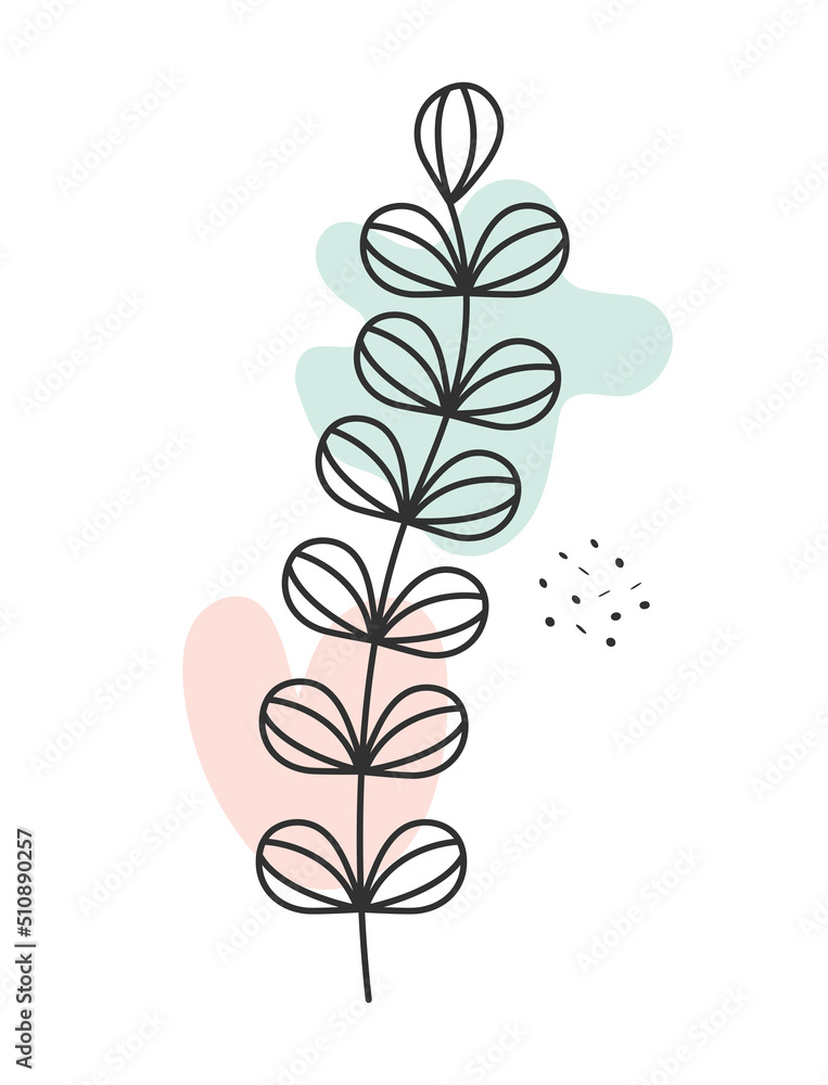 botany plant illustration