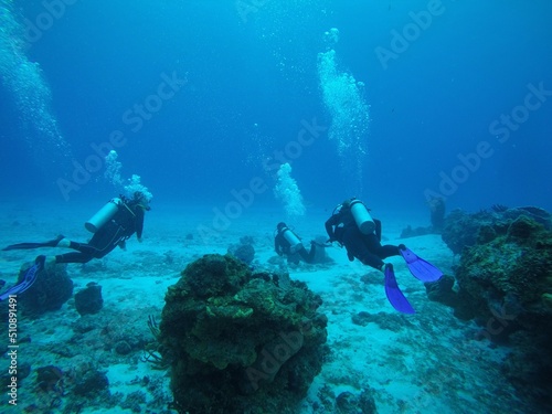 Taucher schwimmen an Korallen vorbei in blaue Meer.