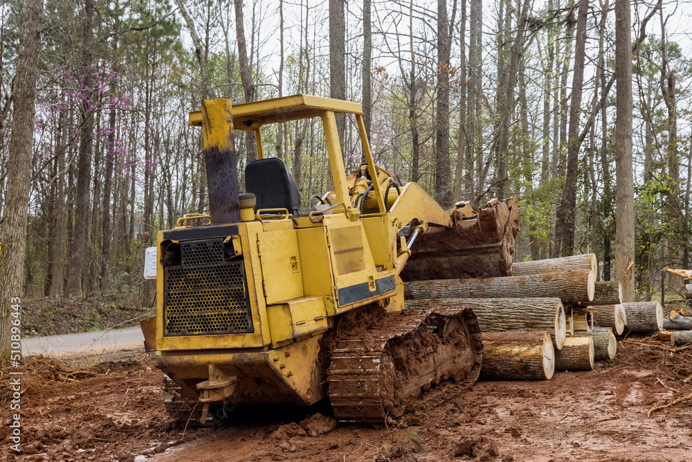 Freshly cut trees for residential construction site in backhoe clearing forest on land clearing