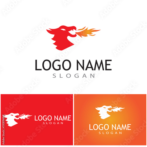 Dragon vector icon illustration design logo template