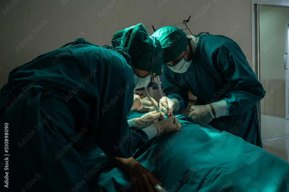 professional surgeon doctor teamwork person working in hospital operation room with surgery medical health equipment with surgical patient and nurse, emergency medicine treatment clinic concept professional surgeon doctor teamwork person working in hospital operation room with surgery medical health equipment with surgical patient and nurse, emergency medicine treatment clinic concept