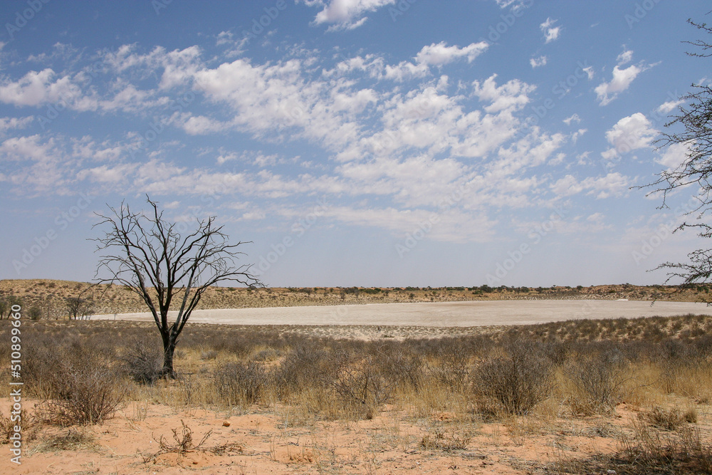 Bitterpan (meaning bitter pan) in the Kgalagadi Bitterpan (meaning bitter pan) in the Kgalagadi
