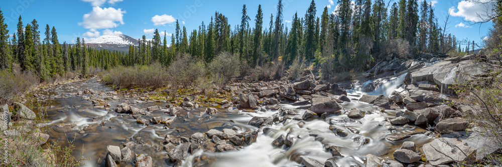 Wilderness scenery in Yukon Territory with running creek through Otter Falls in the boreal forest. Wilderness scenery in Yukon Territory with running creek through Otter Falls in the boreal forest.