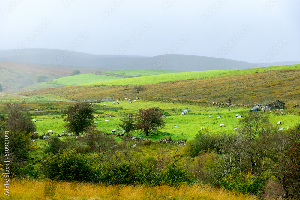 marshy terrain, traditional irish landscape, cloudy skies out of focus, travel and tourism concept, rural autumn landscape