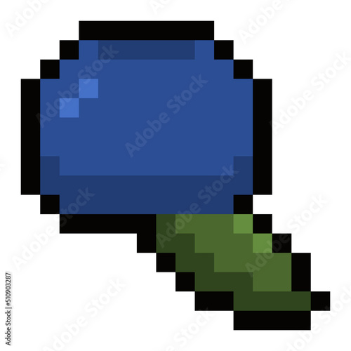 pixel blueberry
