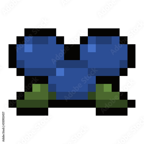 pixel blueberry 