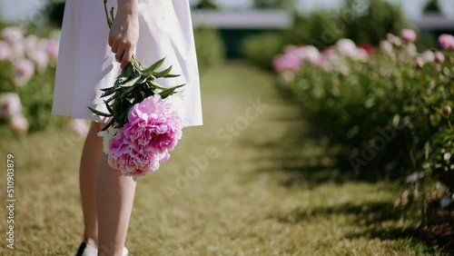 Girl with a beautiful pink bouquet in her hands walks on a flower field. A woman in a white dress walks on a peony field. Hot summer day, sunny weather.