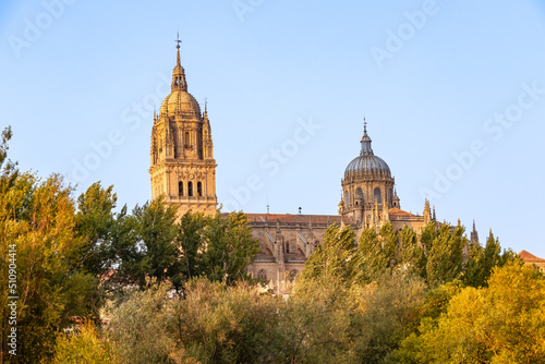 Partial View of Salamanca Cathedral behind the trees of the river Tormes at sunset