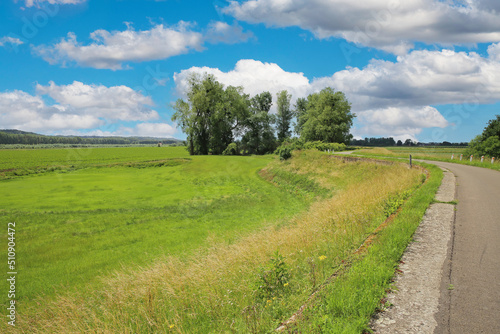 Beautiful rural countryside idyllic belgian landscape  vibrant strong green meadows  trees  bike cycle path  blue summer sky - Maasvallei  Limburg  Belgium