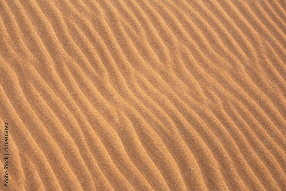 Close-up of the sand of the Sahara desert during the day Close-up of the sand of the Sahara desert during the day