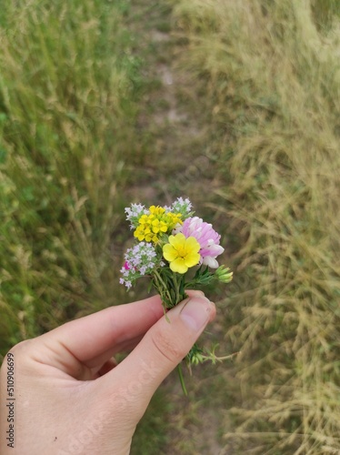 flowers in the hand