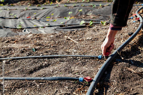 Valokuvatapetti Hand opens drip irrigation tap in garden