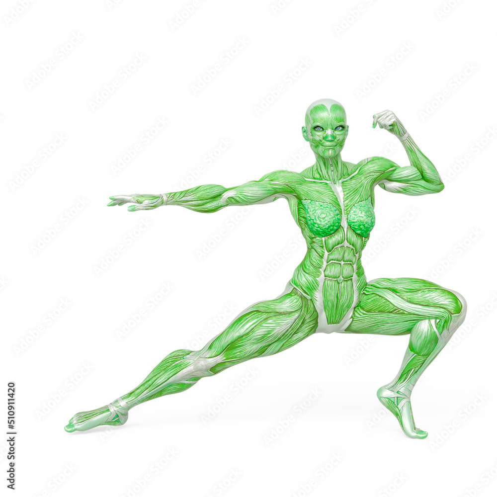 female bodybuilder is doing an action pose in white background female bodybuilder is doing an action pose in white background