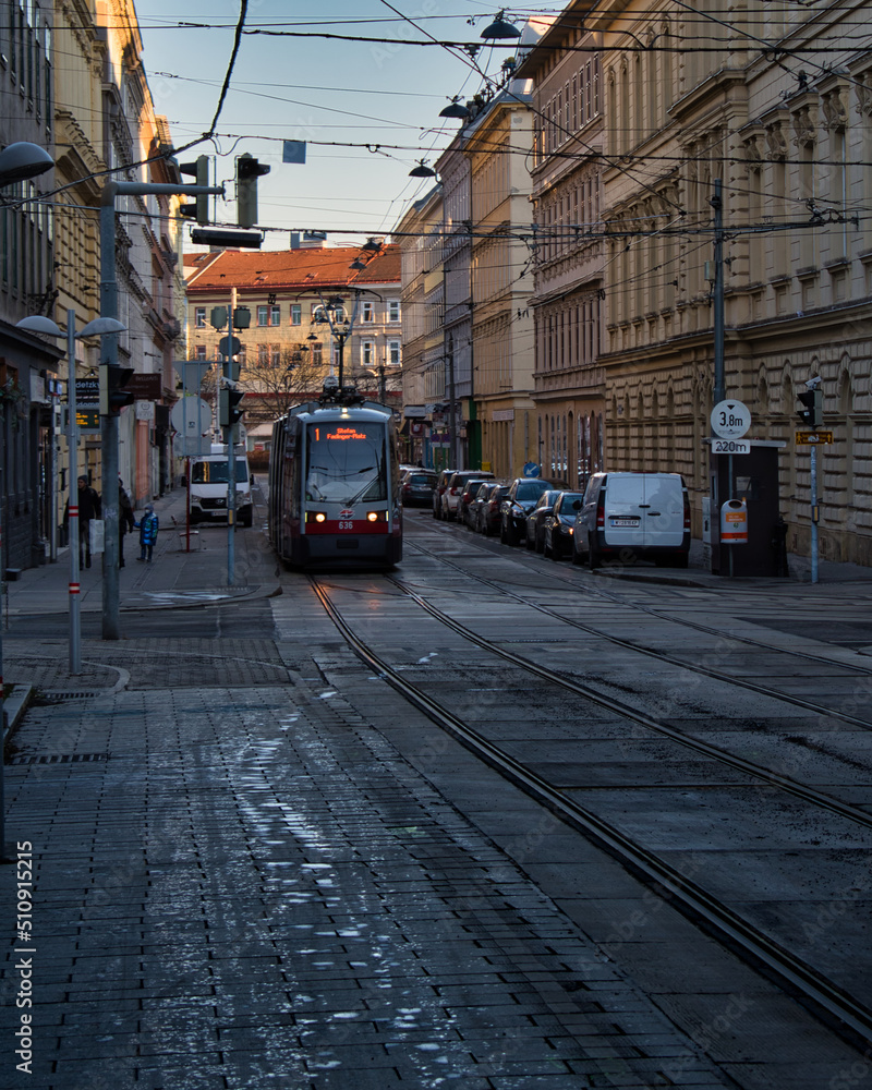 Tram/Bim in Vienna city 