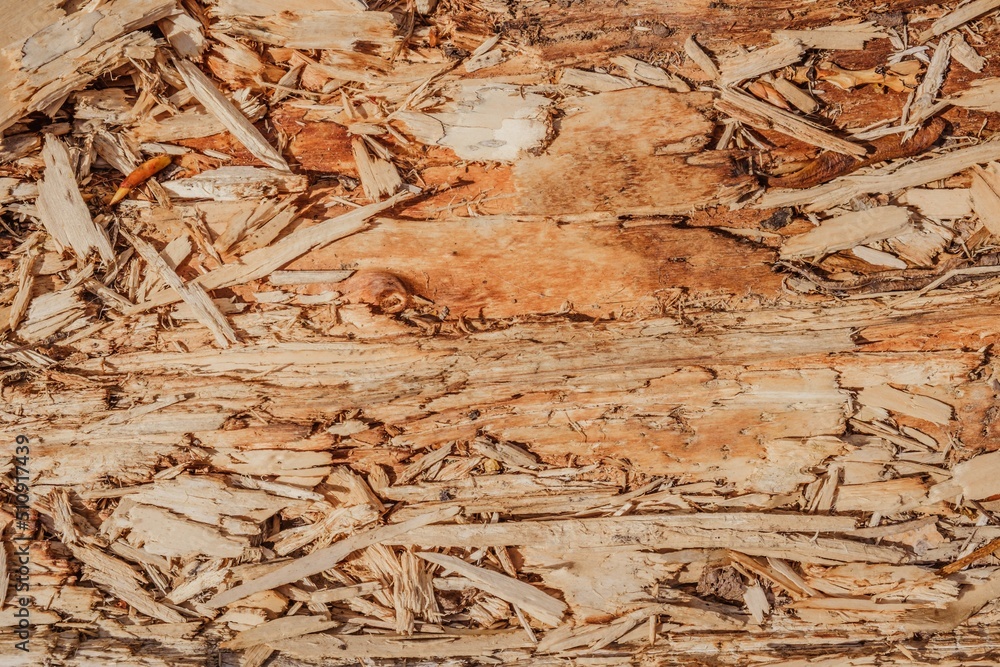 Wooden rough timber old aged. wall board Wooden rough timber old aged. wall board