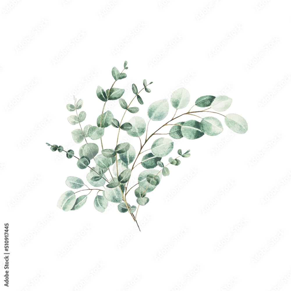Watercolor eucalyptus bouquet. Green leaves branch collection, for wedding stationary, greetings, wallpapers, fashion, background.