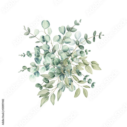 Watercolor eucalyptus bouquet. Green leaves branch collection  for wedding stationary  greetings  wallpapers  fashion  background.