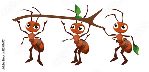 Vector illustration of cute and beautiful ants on white background. Charming characters in different poses holding a stick chief, assistant and corrector cartoon style.