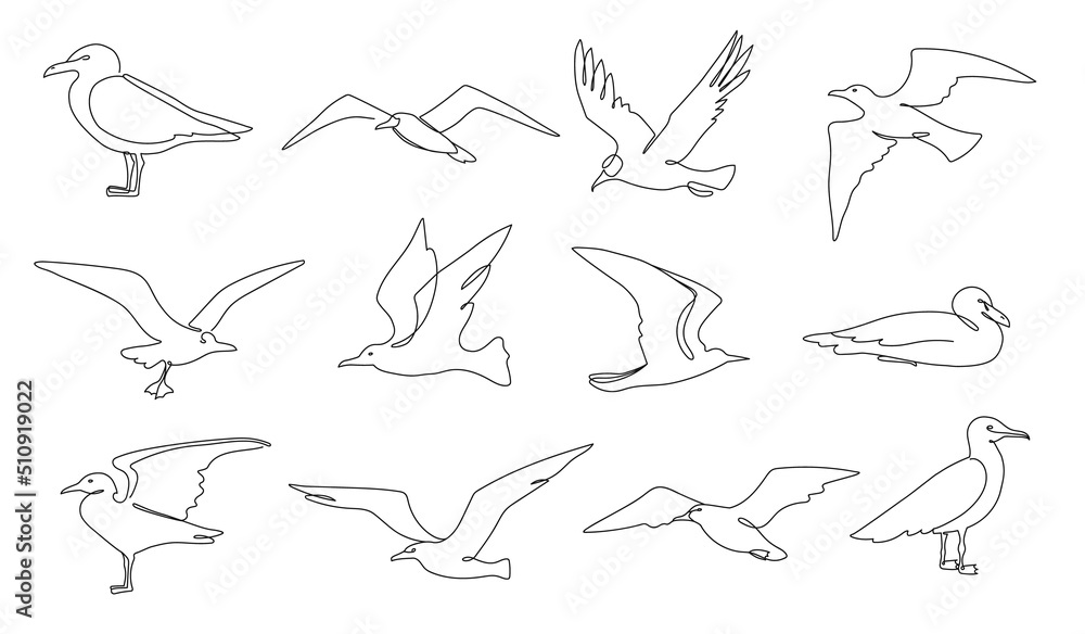 One line seagulls. Flying seabird, nautical bird and beach animal continuous line vector illustration set