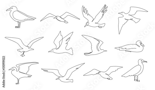 One line seagulls. Flying seabird, nautical bird and beach animal continuous line vector illustration set
