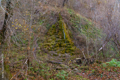 Natural spring with mineral drinking water in the wild with stones overgrown with moss. Background or backdrop photo