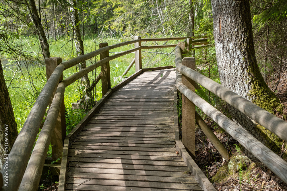 Eco path wooden walkway in park of Latvia. Ecological trail path route walkways laid in the forest. Travel photo, nobody, selective focus. Eco path wooden walkway in park of Latvia. Ecological trail path route walkways laid in the forest. Travel photo, nobody, selective focus.