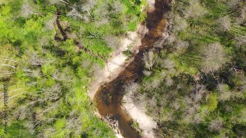 Wallpaper Mural Aerial top down view flying along over small, winding river flowing through green forest Torontodigital.ca