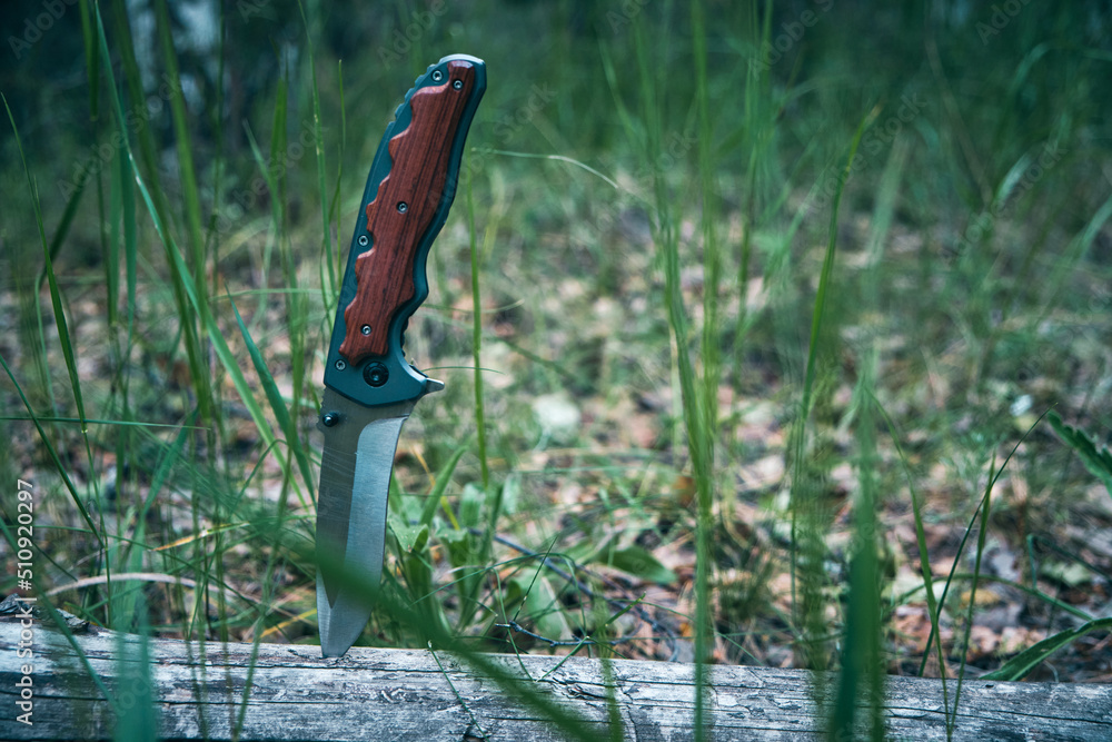 Naklejka premium Tactical knife for survival and protection difficult conditions stuck into trunk tree in forest.